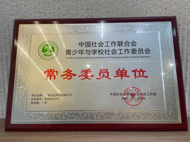 中国社会工作联合会青少年与学校社会工作委员会常务委员单位